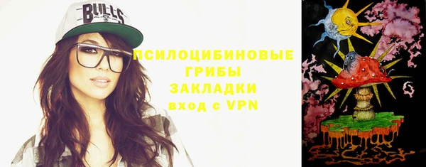 молекула духа Богданович