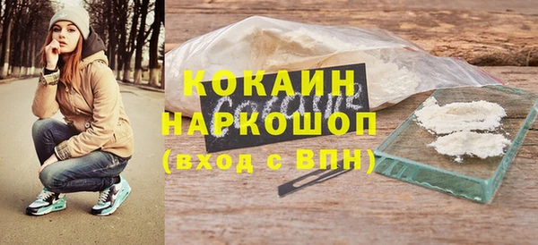 молекула духа Богданович