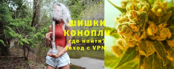 молекула духа Богданович