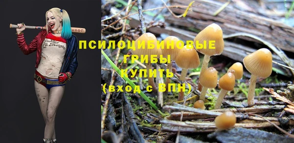первитин Белокуриха