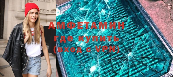 молекула духа Богданович