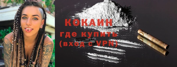 молекула духа Богданович