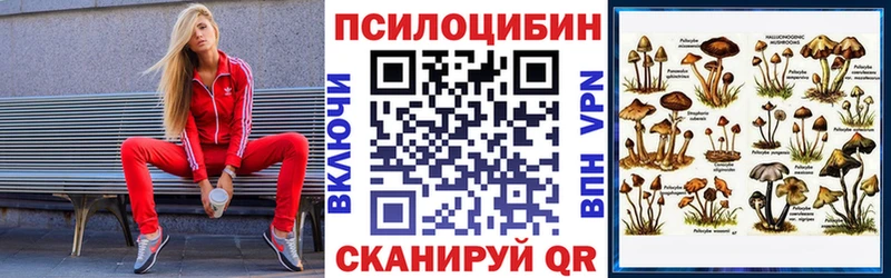 купить закладку  MEGA ONION  Галлюциногенные грибы Psilocybine cubensis  Онега 