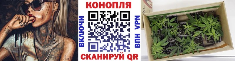 Канабис VHQ  Онега 
